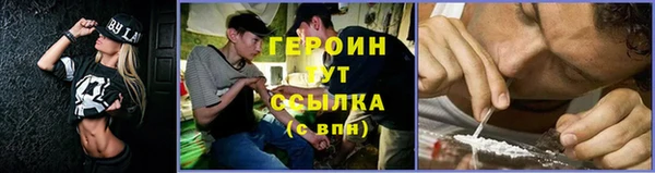 прущие грибы Белокуриха