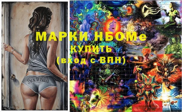 прущие грибы Белокуриха