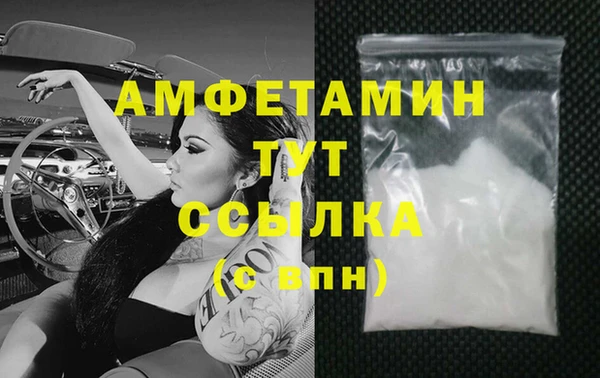 прущие грибы Белокуриха