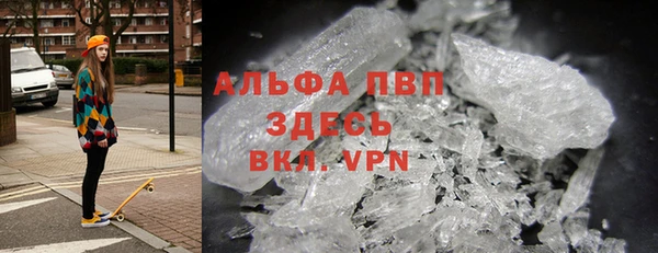 прущие грибы Белокуриха