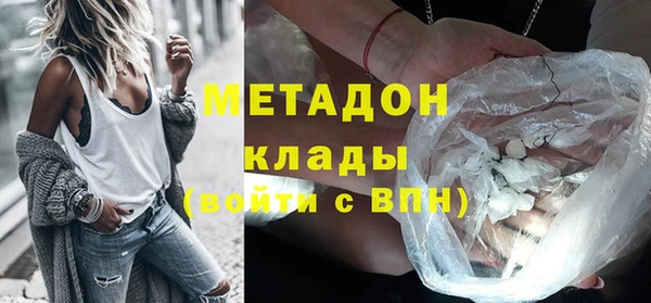 прущие грибы Белокуриха